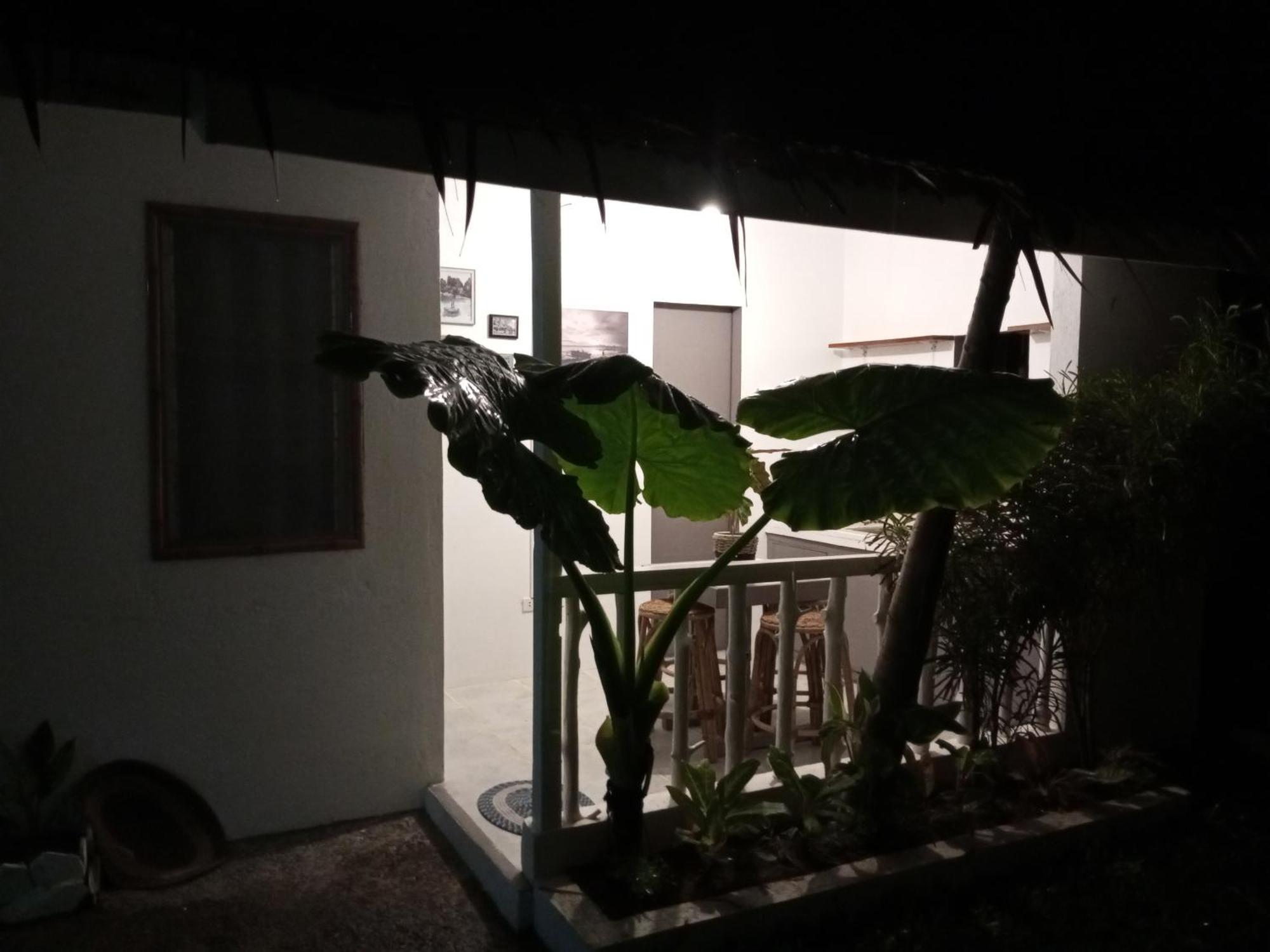 Laluna Cottages El Nido Værelse billede